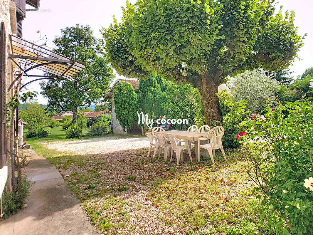 Maison à NEUVILLE-SUR-AIN