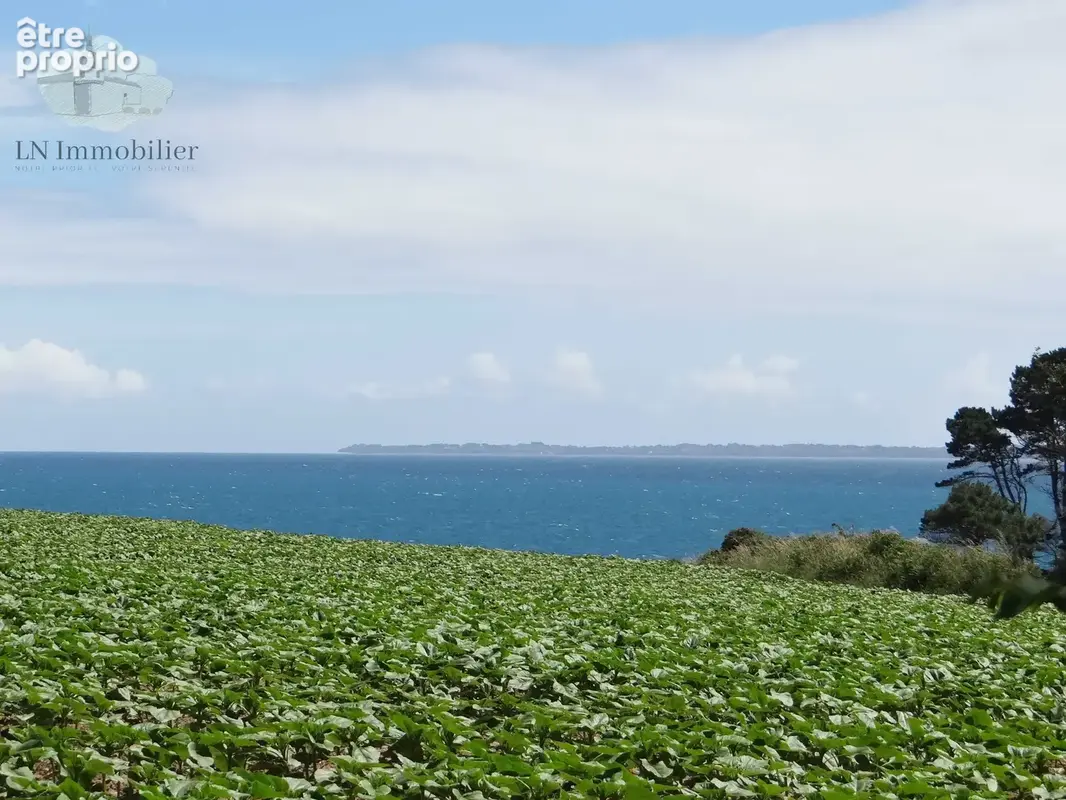 Propriété de caractère - vue mer - doëlan 225 m2 - photo 7