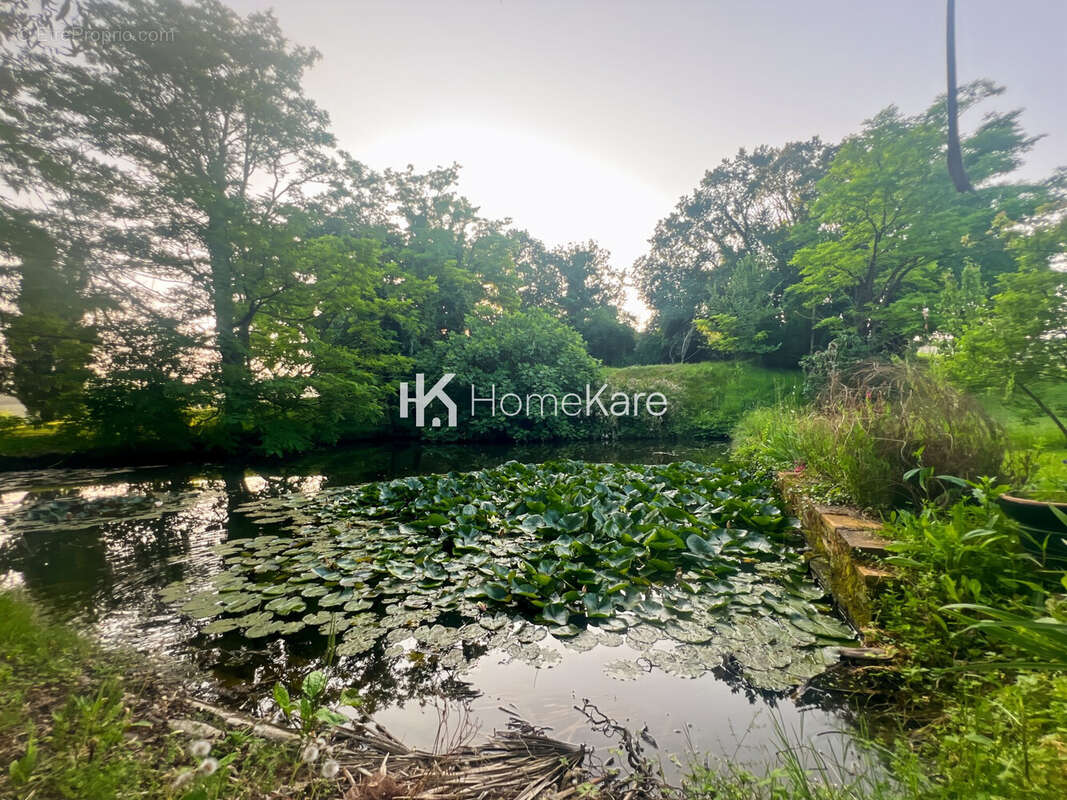 Maison à L&#039;ISLE-EN-DODON