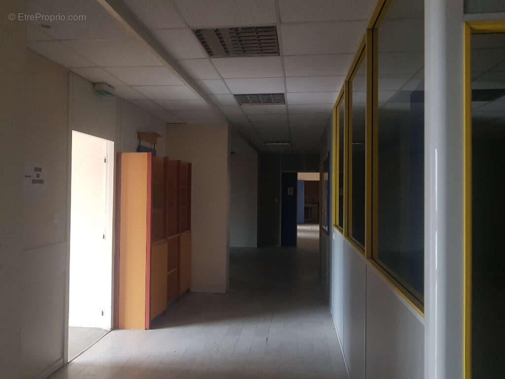 Commerce à MONTAUBAN