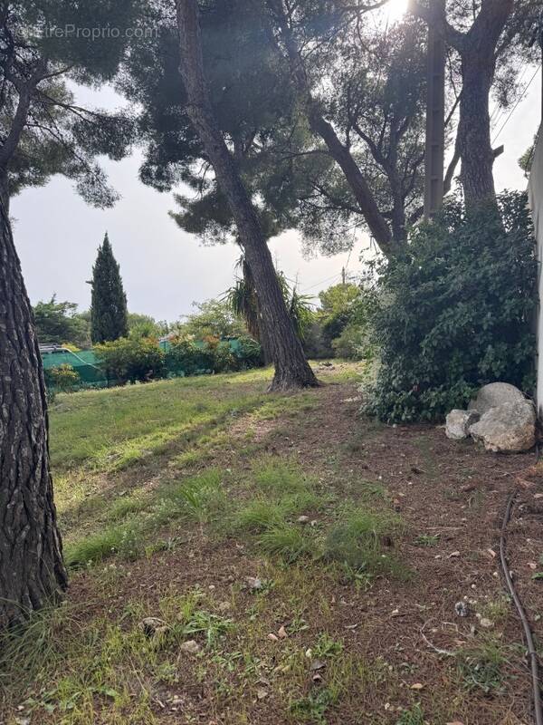 Terrain à SAUSSET-LES-PINS
