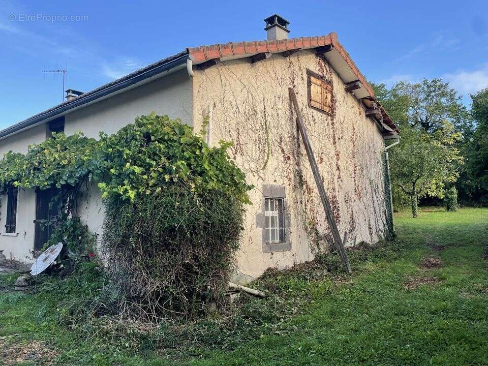 maison de campagne, coup de coeur, superbe, pigeonnier, - Maison à LUZILLAT