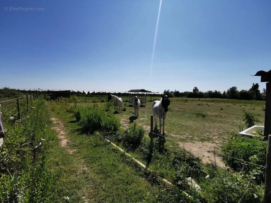 Domaine équestre en campagne Beaucaire - photo 17
