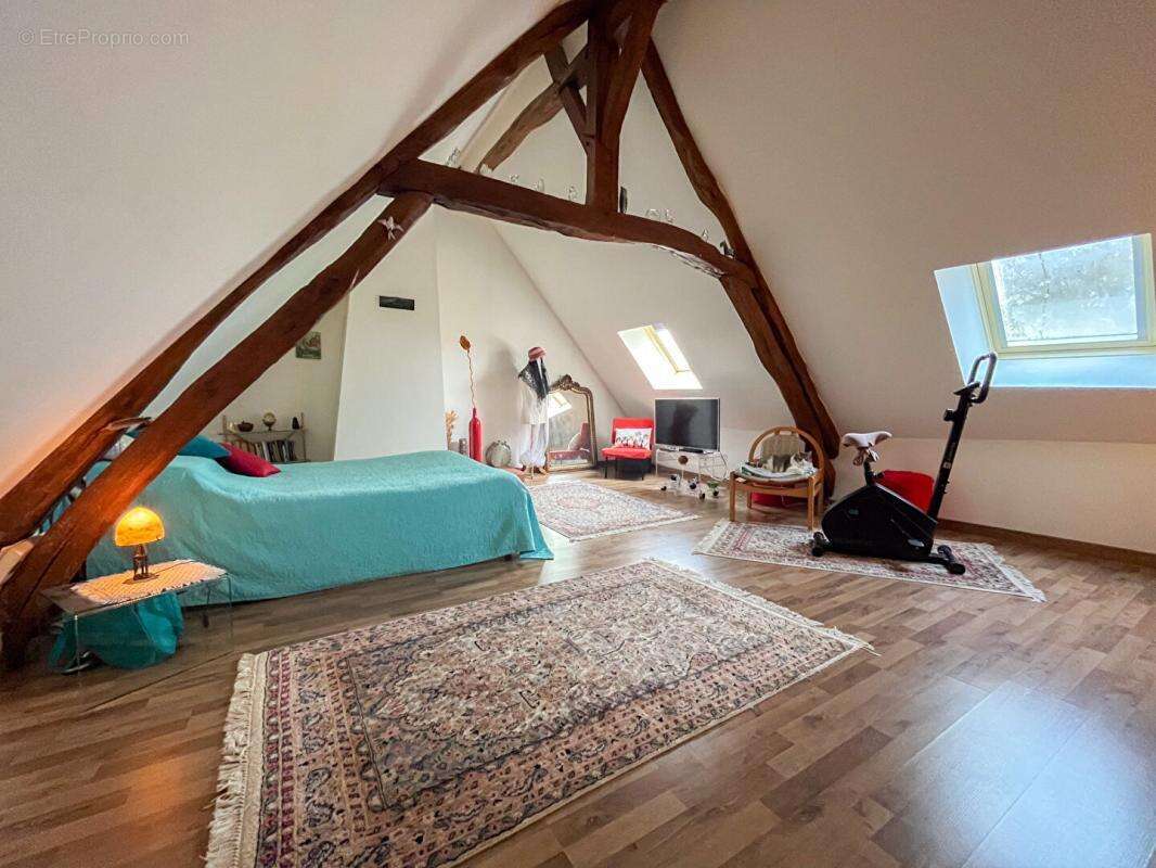 Maison à JEU-MALOCHES