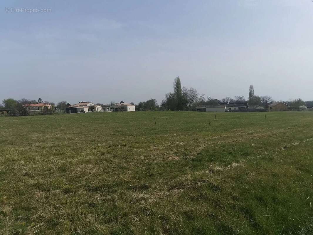 Terrain à MONMARVES