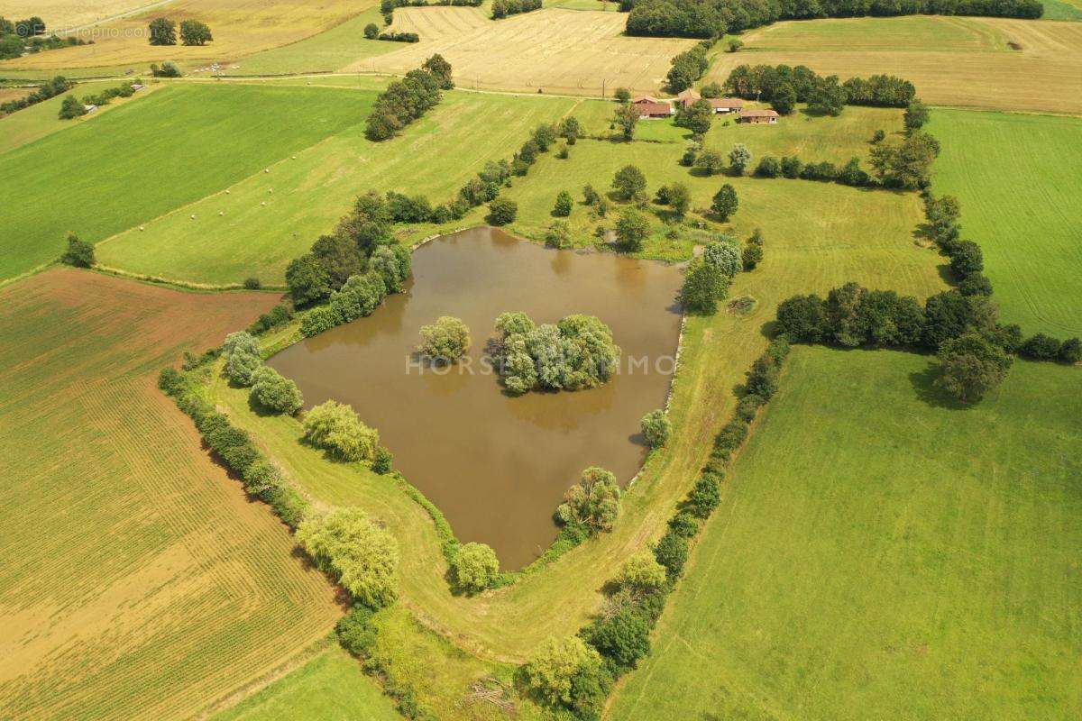Maison à SAINT-TRIVIER-DE-COURTES