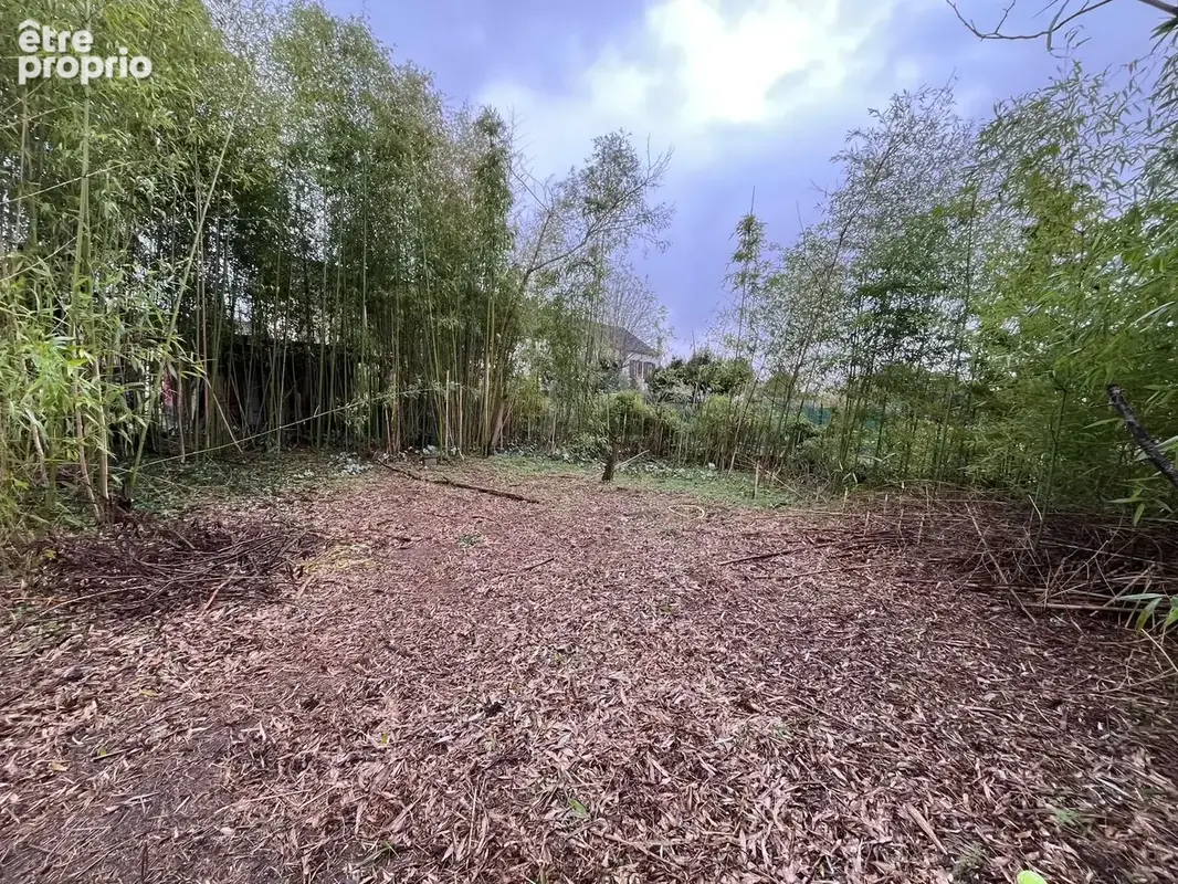 Terrain 600 m² à Vernouillet  - photo 5