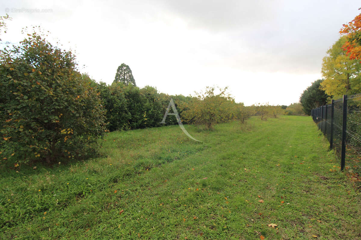 Terrain à MONT-PRES-CHAMBORD