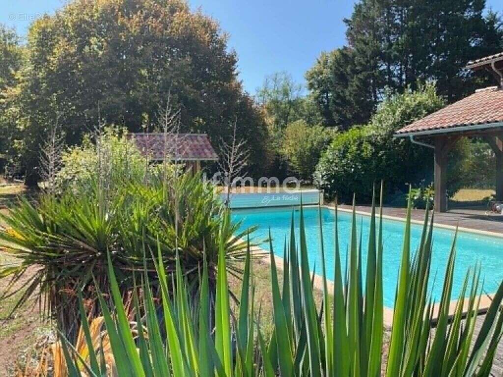 Maison landaise avec piscine, dépendance et terrain - photo 2