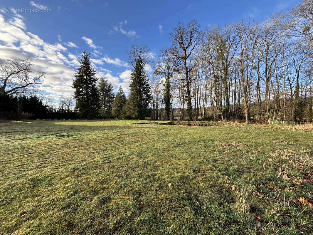 Au coeur du parc national à 9km de CHATILLON SUR SEINE ( 21)  :habitation de 450 M2 avec 1,5HA bord d'eau - photo 8