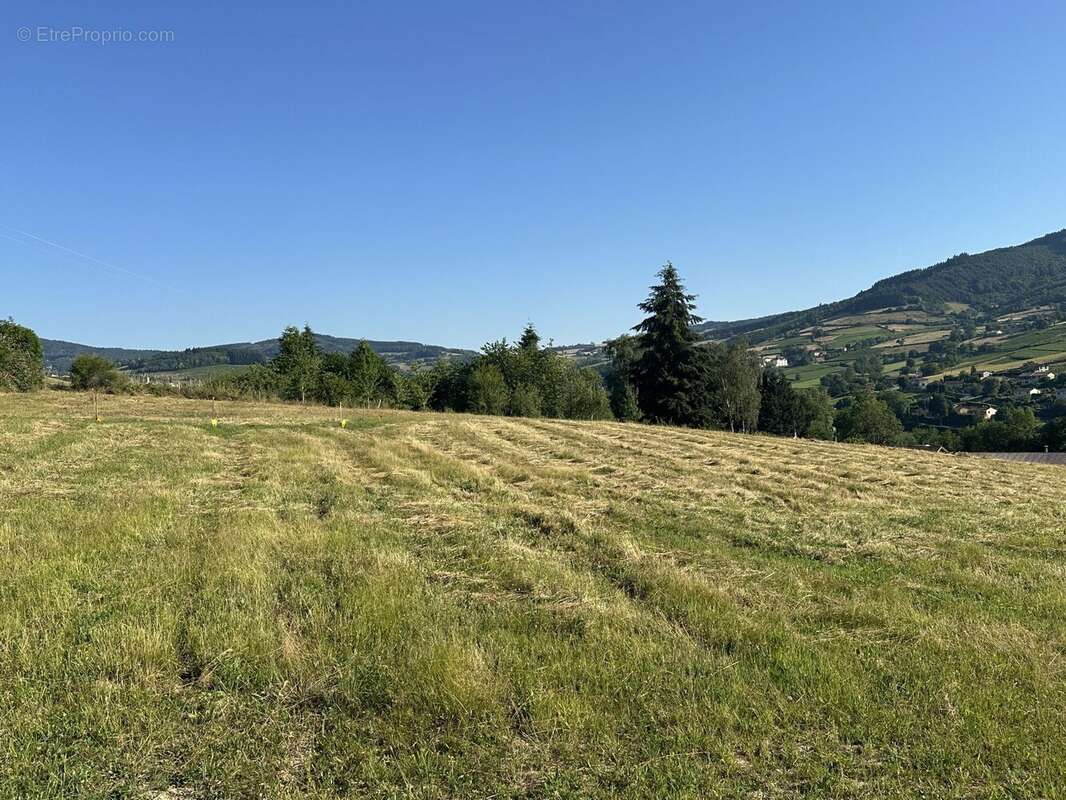 Terrain 1009 m² à Saint-Didier-Sur-Beaujeu  - photo 2