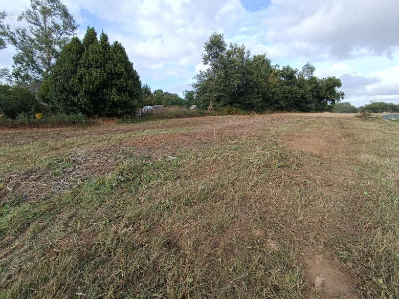 Terrain à PLOUGUERNEVEL