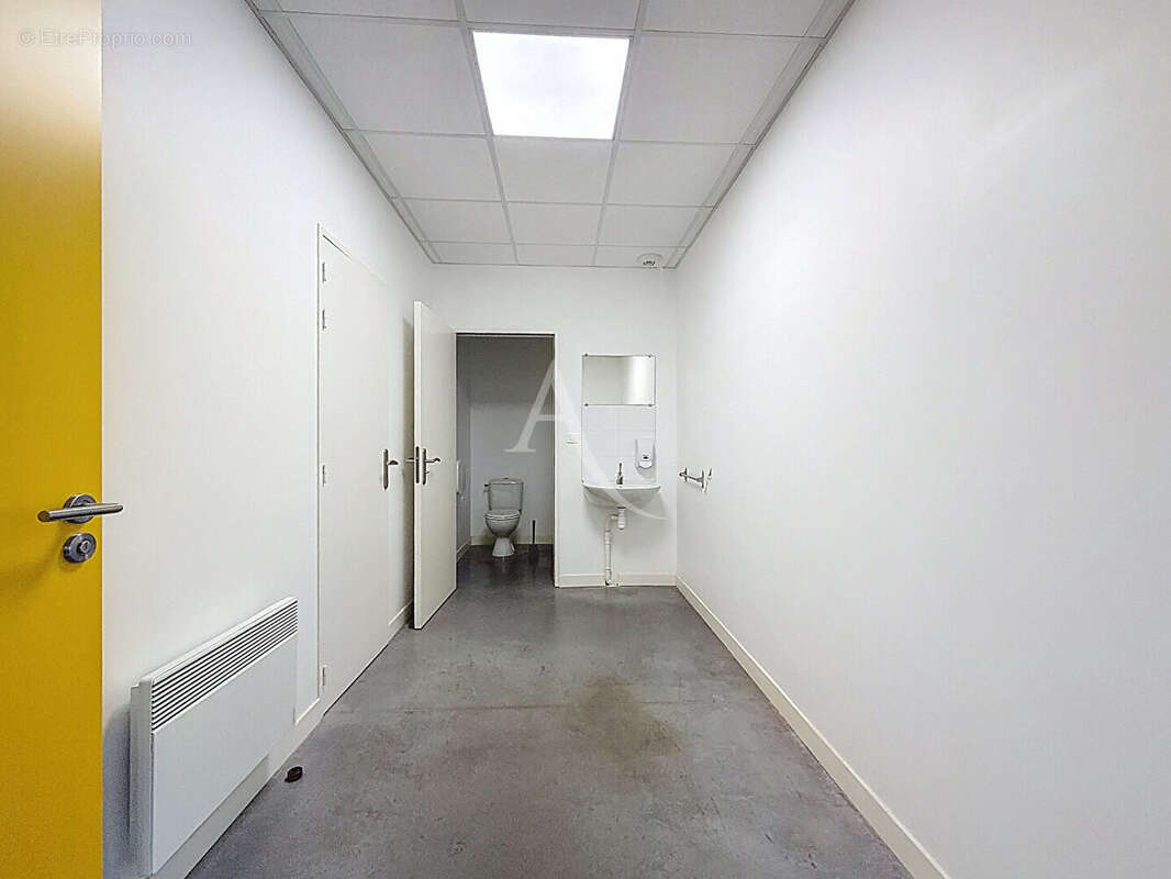 Commerce à BRISSAC-QUINCE