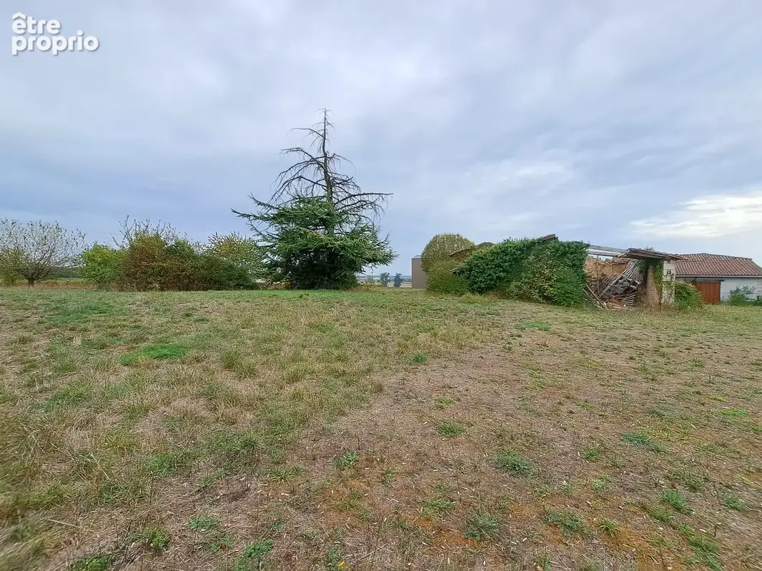 Terrain 5 642 m² à vendre à Saint-Maigrin (17520) - photo 2