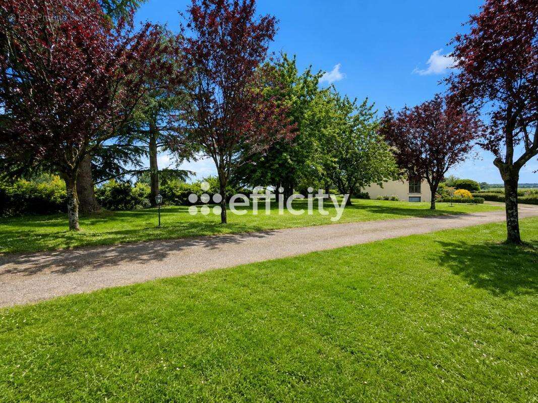 Maison 145 m² à Pire-Sur-Seiche  - photo 19