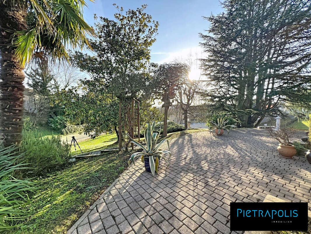 Maison à NEUVILLE-SUR-SAONE