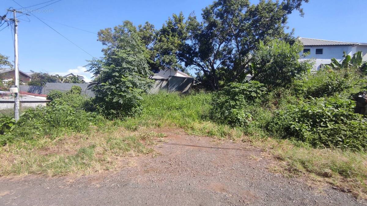 Terrain à LE TAMPON