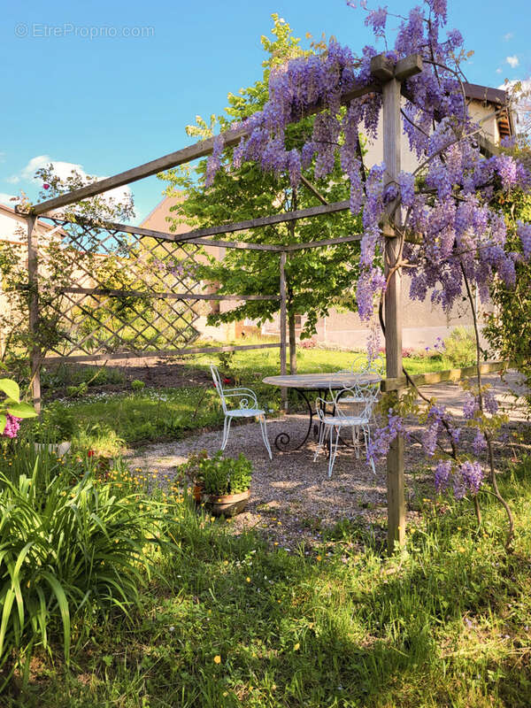 Maison à NEUVILLE-SUR-SAONE