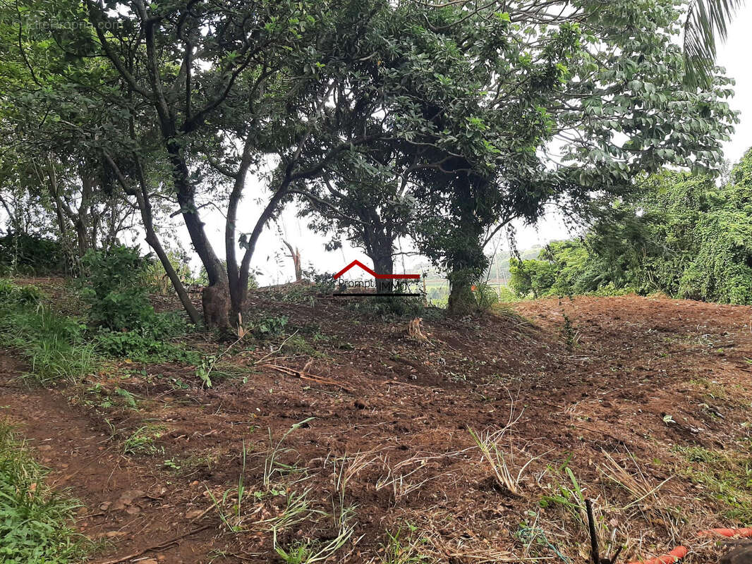 Terrain à LE ROBERT