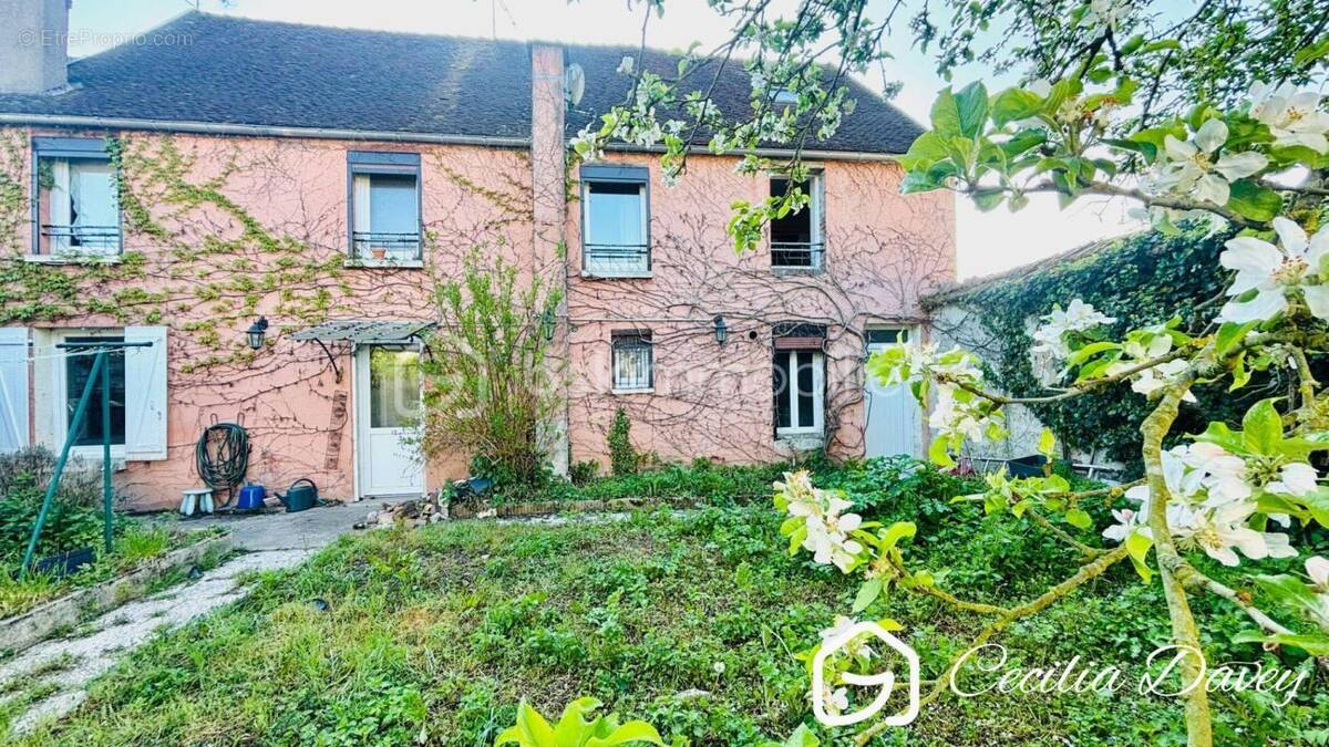 Maison à VILLENEUVE-L'ARCHEVEQUE