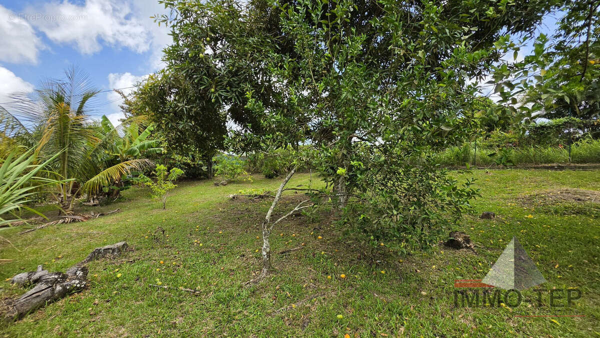 Terrain 500 m² à Riviere-Salee  - photo 3