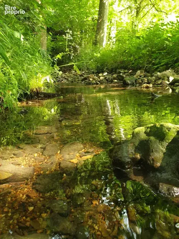 Maison normande de caractère à vendre à Pont-Audemer - 8 pièces, 5 chambres, 3,5 ha de nature - photo 8