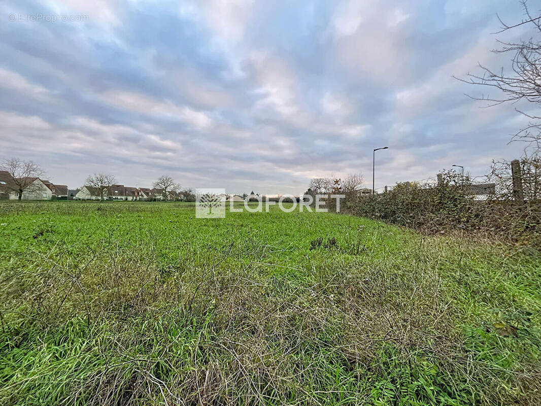 Terrain à FRIGNICOURT