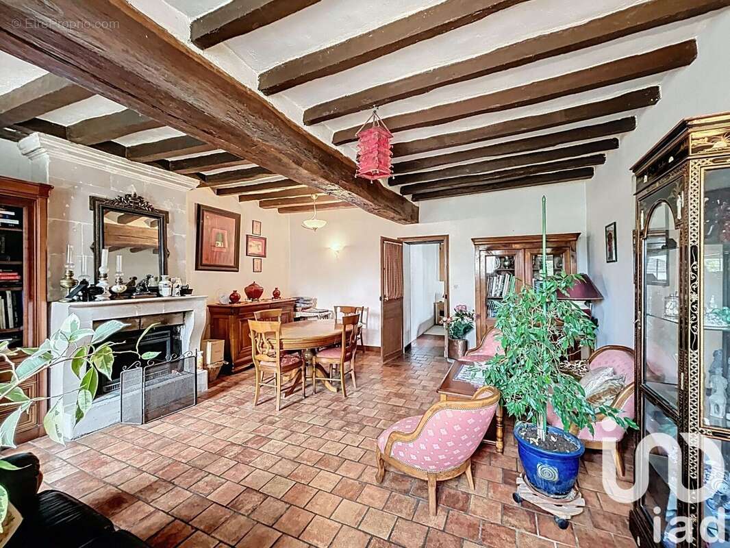 Photo 5 - Maison à SELLES-SUR-CHER