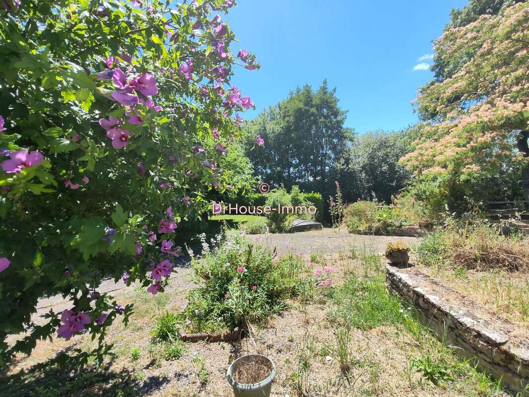 Maison à LA TAILLEE