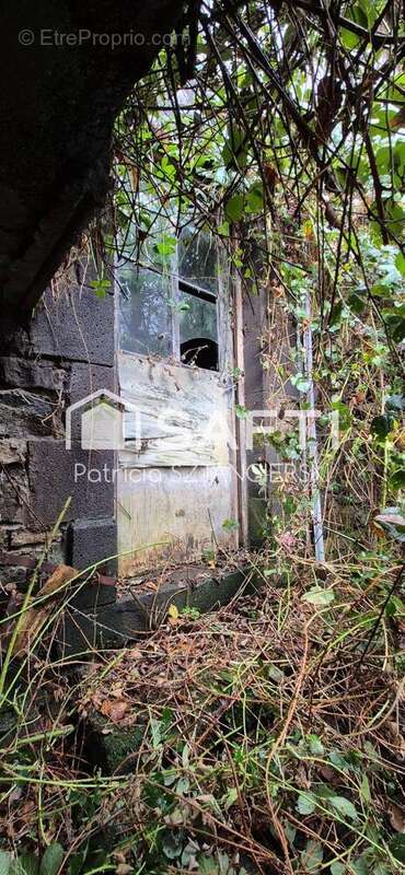 Photo 8 - Maison à MAZAYE