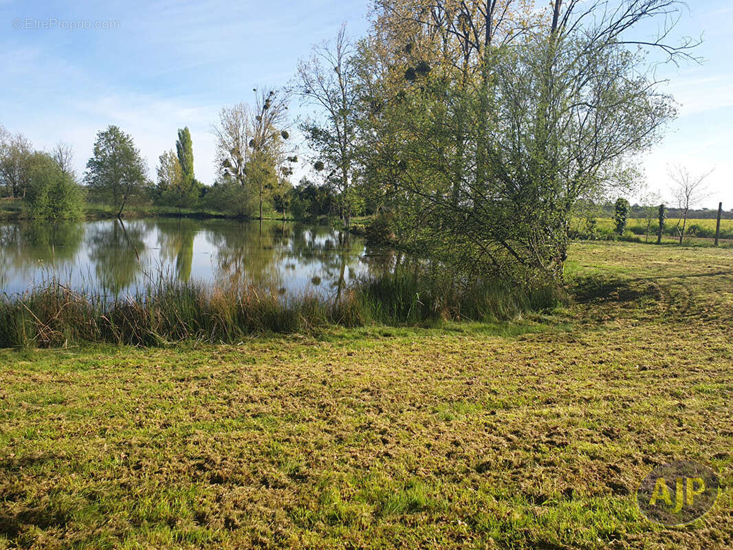 Terrain Montaigu Vendee 5810 m2 - photo 5