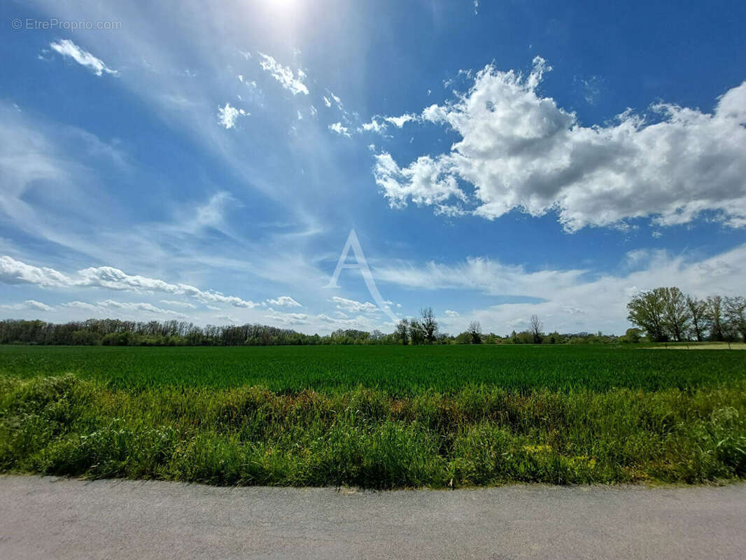 Terrain constructible, viabilisé et arboré de 978 m² - photo 5