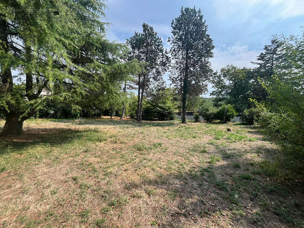 Terrain à SAINT-BENOIT