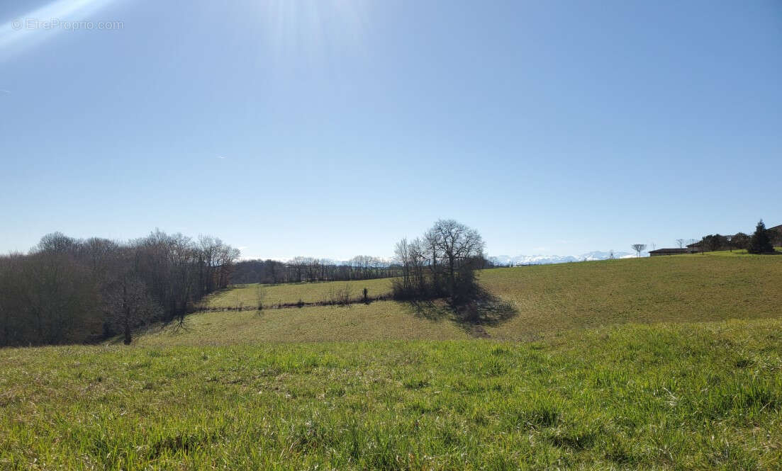 Terrain à MARCIAC