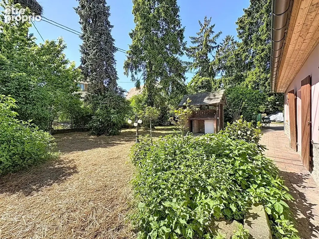 Reutenbourg, ensemble immobilier de deux maisons sur 17,28 ares - photo 3
