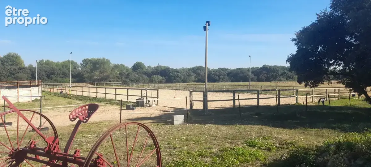 Domaine équestre en activité sur 16h   Un ensemble rare aux portes de MONTPELLIER - photo 10
