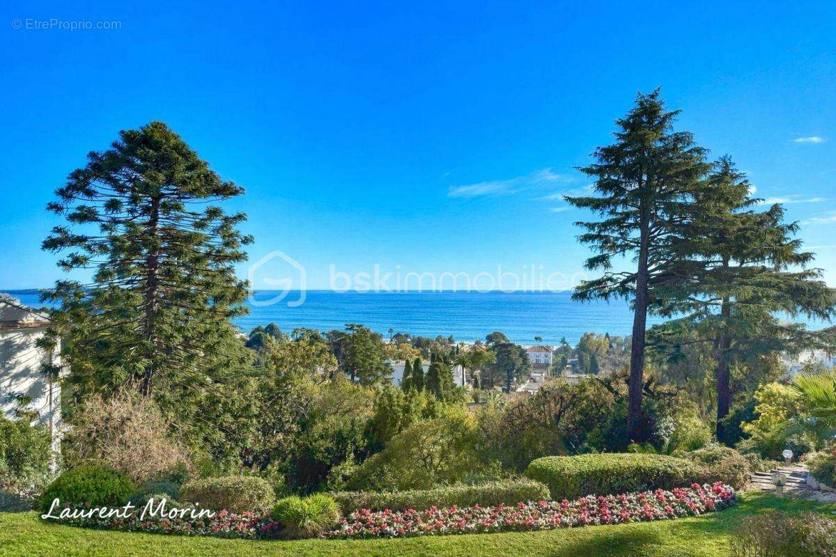 Cannes Croix-des-Gardes - Appartement 86m² - 3 pièces - Terrasse 43m² - vue mer - Piscine - Garage - photo 3