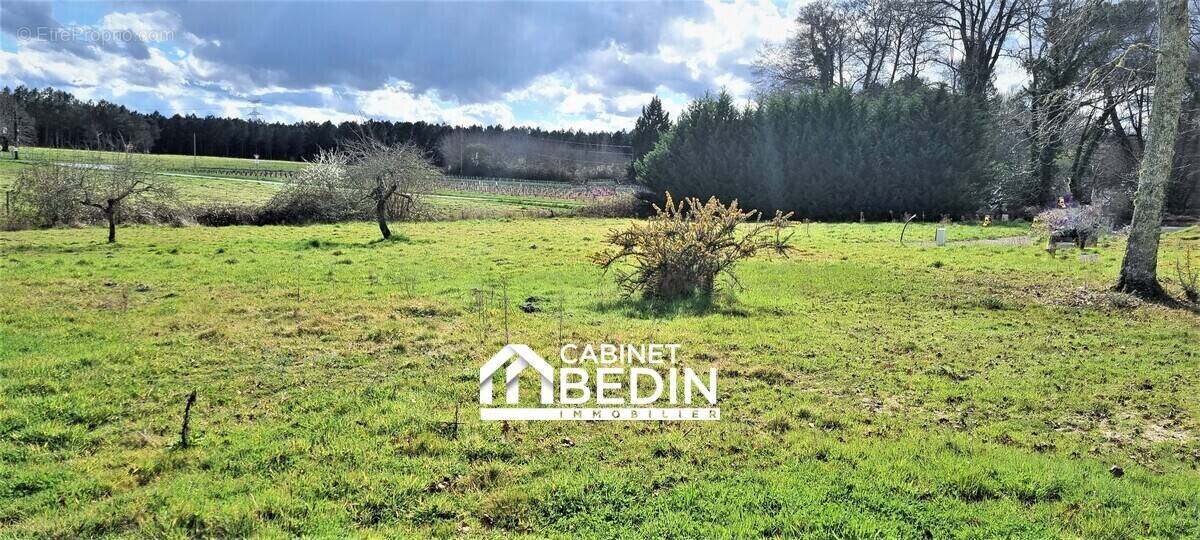 Terrain à LA BREDE