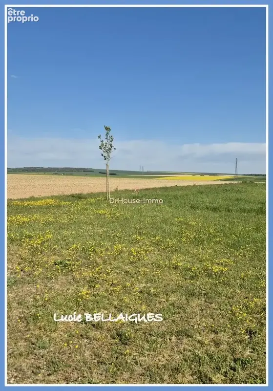 Terrain 1 322 m² à vendre à Onjon (10220) - photo 51