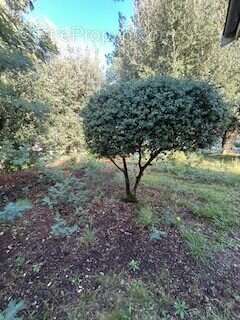 Maison à SOULAC-SUR-MER