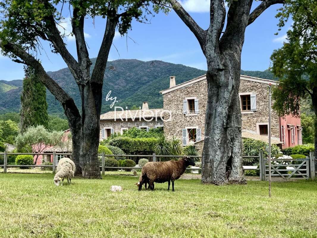 Maison à LE LAVANDOU