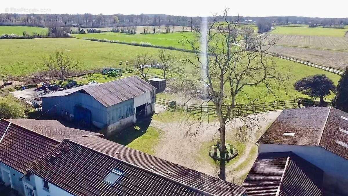 Maison à NEUVILLE-LES-DAMES