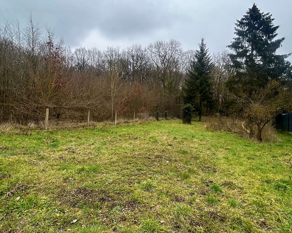 Maison à VERNEUIL-EN-HALATTE