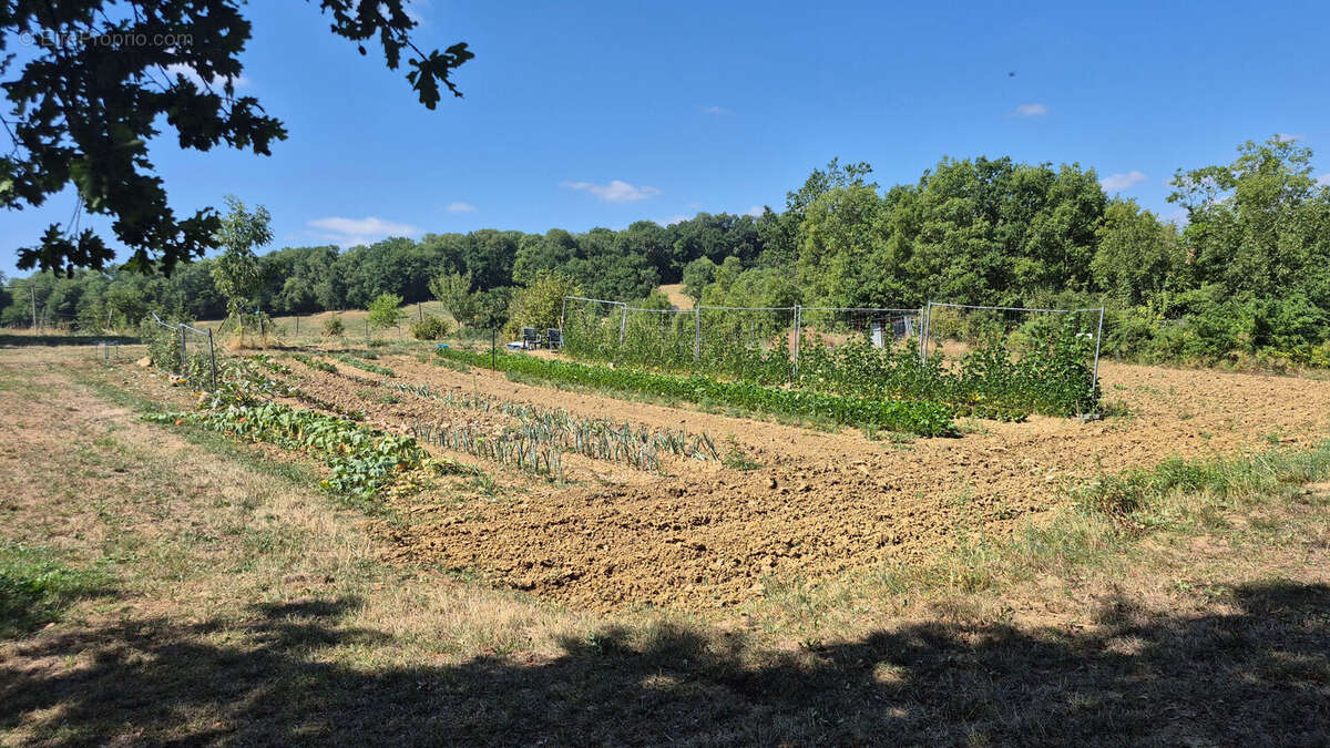 A 5 minutes de BOZOULS, maison de Type 4 sur une parcelle de plus de 13600 m² - photo 4