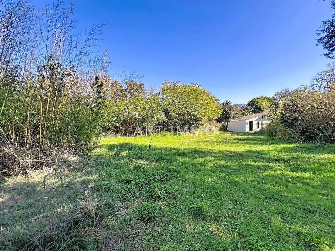 Terrain à CAVAILLON