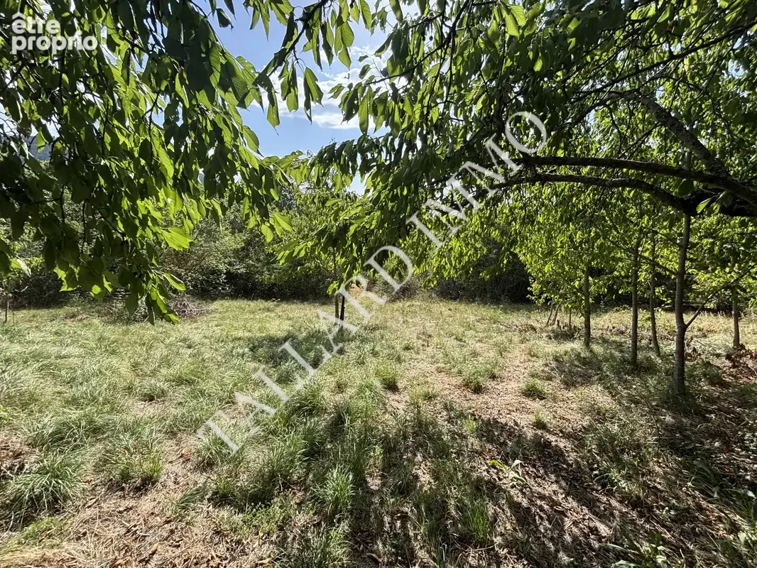 Terrain 1 687 m² à vendre à Tallard (05130) - photo 15
