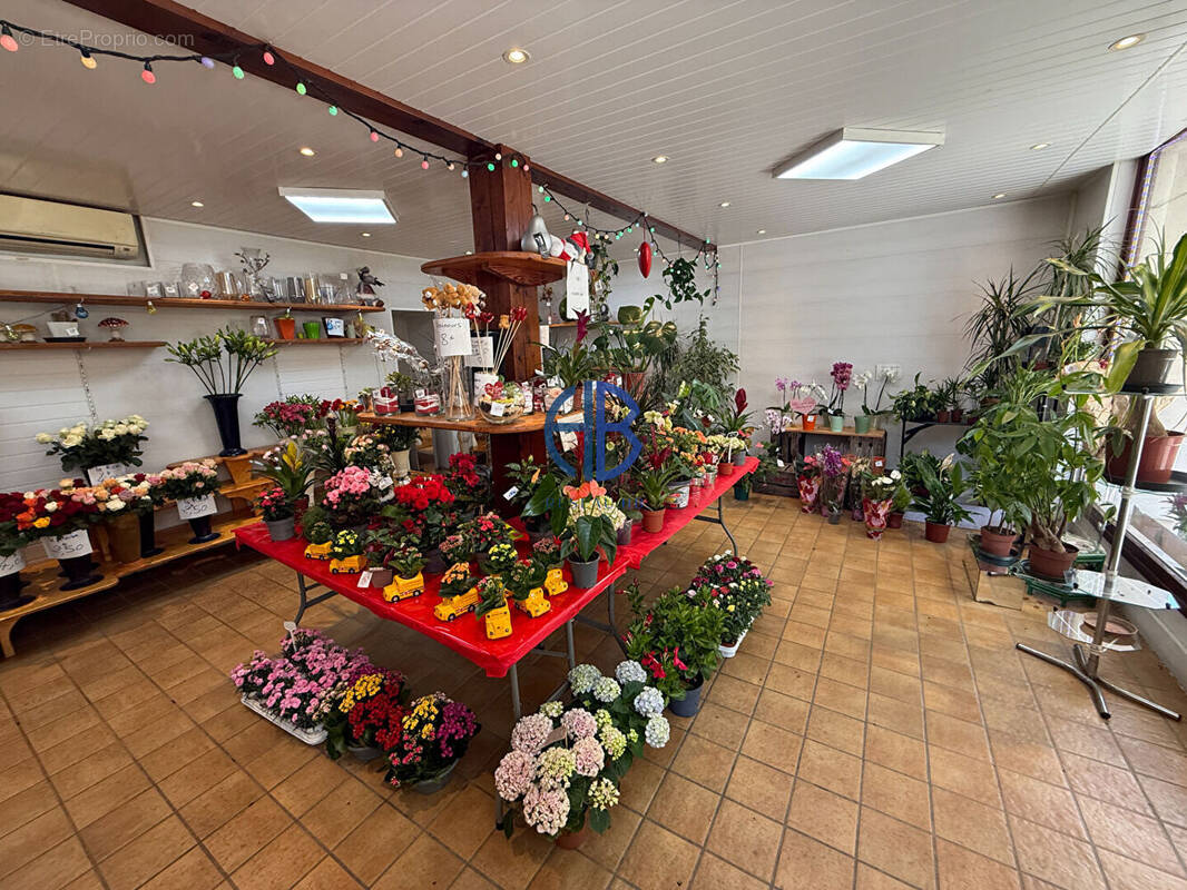 Commerce à SAINT-SIMEON-DE-BRESSIEUX