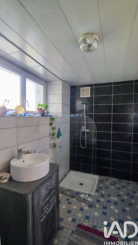 Photo 9 - Maison à SAINT-PIERRE-LE-VIEUX