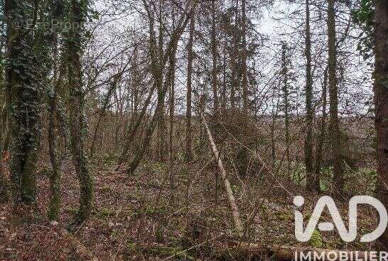Photo 9 - Terrain à PONT-A-MOUSSON