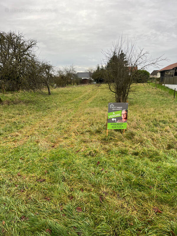 Terrain à VERGAVILLE